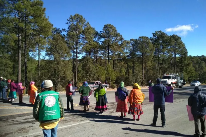 Sahara - Tagebuch einer pbi-Freiwilligen (Mexiko)